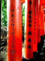 Closeup Japanese texts on torii gates at Fushimi Inari Shrine in Kyoto, Japan photo