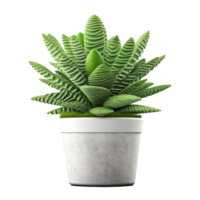 verde domestico pianta nel vaso di fiori. illustrazione ai generativo png