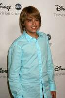 Cole  Sprouse arriving at the ABC TCA Summer 08 Party at the Beverly Hilton Hotel in Beverly Hills CA onJuly 17 20082008 photo