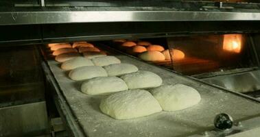 in movimento il crudo pane Impasto in il preriscaldato ponte forno utilizzando un' palmare Manuale caricatore- avvicinamento tiro video