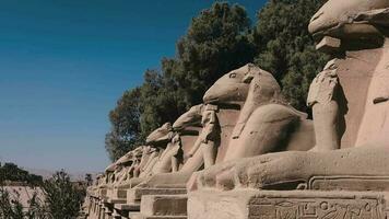 standbeelden in de oude Karnak tempel, Egypte video