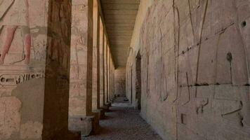 columnas con dibujos en el antiguo templo de abydos, Egipto video