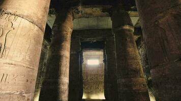 Colonnes avec dessins dans le ancien temple de abydos, Egypte video