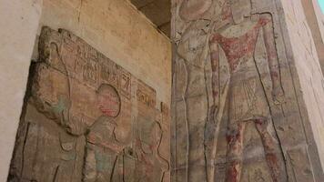 colunas com desenhos dentro a antigo têmpora do Abidos, Egito video