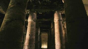 Colonnes avec dessins dans le ancien temple de abydos, Egypte video