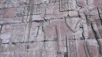 pared pinturas de un antiguo civilización en el templo de edfú, Egipto video