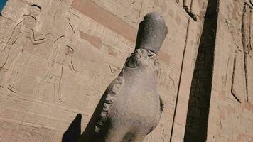 Statuen von das Götter im das Tempel von edfu, Ägypten video