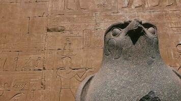 Statuen von das Götter im das Tempel von edfu, Ägypten video