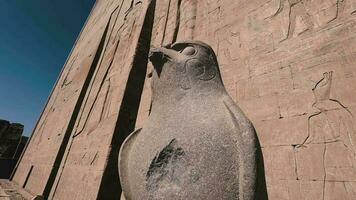 standbeelden van de goden in de tempel van edfu, Egypte video