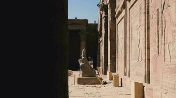 estatuas de el Dioses en el templo de edfú, Egipto video