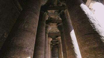 majestuoso columnas en el templo de edfú, Egipto video