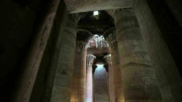 majestoso colunas dentro a têmpora do edfu, Egito video