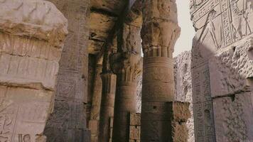 majestuoso columnas en el templo de edfú, Egipto video