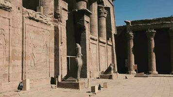 Statues Of The Gods In The Temple Of Edfu, Egypt video