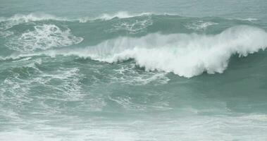 grande ondas falhando em a rude mar dentro nazaré, Portugal dentro lento movimento - fechar-se tiro video