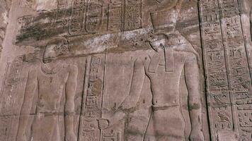 mur peintures de un ancien civilisation dans le temple de edfou, Egypte video