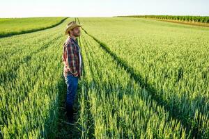 Farmer man outdoors by the barley crop photo