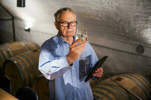 Portrait of senior man who owns winery. He is examining quality in his wine cellar. Industry wine making concept. photo