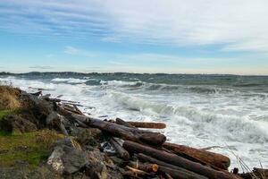 Driftwood on the beach and big waves in the Salish Sea at Coburg Peninsual near Victoria, British Columbia, Canada photo