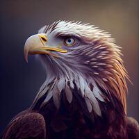 beautiful eagle portrait. close-up portrait of a bird of prey, Image photo