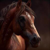 Portrait of a horse on a dark background. Portrait of a horse., Image photo