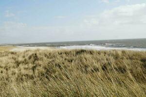 the endless beach at the northern sea Hvidbjerg Stranden Blavand Denmark photo