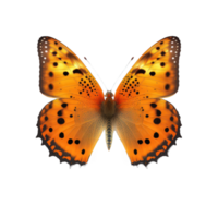 im diese Bild, ein atemberaubend Orange Schmetterling ist zart thront auf ein transparent Hintergrund, präsentieren es ist kompliziert Flügel und kompliziert Muster.Generativ ai png