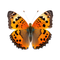 A stunning orange butterfly appears to float in mid-air on a transparent background, its delicate wings spread wide in a breathtaking display of natural beauty. png