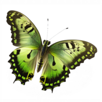 en fantastisk grön fjäril glöder ljust mot en klar, transparent bakgrund, framställning dess invecklad detaljer och delikat vingbredd stå ut i full view.generative ai png