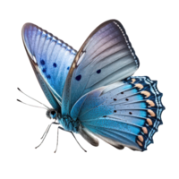 In this stunning image, a blue butterfly is captured with intricate detail against a transparent background, showcasing the delicate beauty of this magnificent creature. png