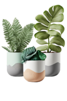 A stunning array of plants housed in delicate ceramic pots are showcased against a crystal-clear background, capturing the essence of nature's beauty in a single image. png