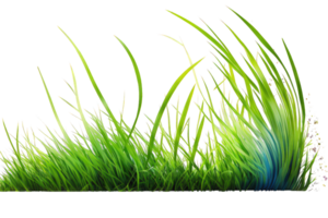 This image features a stunning line of lush green grass set against a transparent background, creating a striking and natural visual masterpiece. png