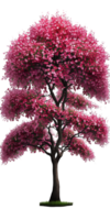 A stunning cherry tree, with delicate pink flowers and lush green leaves, stands majestically on a transparent background, highlighting its beauty and grace. png