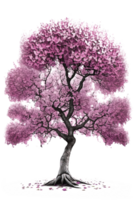 This image depicts a stunning cherry tree in full bloom on a clear, transparent background, highlighting the delicate pink blossoms and lush green leaves. png