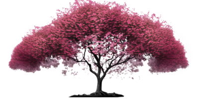 el imagen caracteristicas un maravilloso Cereza árbol, conjunto en contra un transparente fondo, permitiendo sus delicado rosado flores y agraciado ramas a estar fuera en lleno vista.generativa ai png