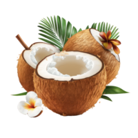 This image features highly-detailed, lifelike coconuts against a clean and transparent background, providing a clear and unobstructed view of the fruit's natural shape and texture. png