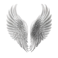 A stunningly detailed and lifelike angel wing on a completely transparent background, allowing the viewer to fully appreciate the intricate beauty of each feather and curve of the wing. png