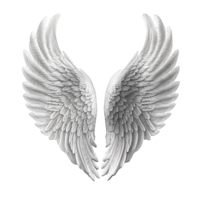 Angel Wings PNGs for Free Download