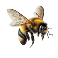 A detailed and lifelike bee is captured mid-flight against a clear and see-through background, showcasing its graceful wings and intricate body design. png