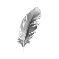 A single, pristine white feather floats gracefully against a transparent background, its intricate details and delicate texture rendered in stunningly realistic detail. png