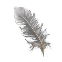 A delicate white feather appears as if it is floating, showcased against a clean, transparent backdrop. png