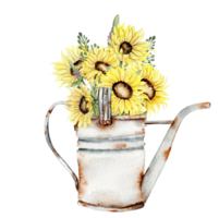 Watercolor composition with sunflowers and old rusty garden tools. Hand drawn illustration of summer. Perfect for scrapbooking, kids design, wedding invitation, posters, greetings cards. png