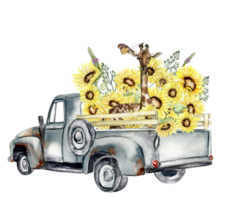 Watercolor composition with sunflowers and farm car. Butterflies in cartoon style.Hand drawn illustration of summer. Perfect for scrapbooking, kids design, wedding invitation,posters, greetings cards. png