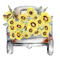 Watercolor composition with sunflowers and farm car. Butterflies in cartoon style.Hand drawn illustration of summer. Perfect for scrapbooking, kids design, wedding invitation,posters, greetings cards. png