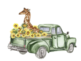 Watercolor composition with sunflowers and farm car. Butterflies in cartoon style.Hand drawn illustration of summer. Perfect for scrapbooking, kids design, wedding invitation,posters, greetings cards. png