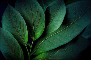 Leaves leaf texture green organic background macro layout closeu. Generative Ai photo