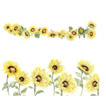 waterverf hand- getrokken voorjaar tuin vol van zonnebloemen plein kader . waterverf illustratie voor scrapbooking.cartoon hand- getrokken achtergrond met bloem voor kinderen ontwerp.perfect voor bruiloft uitnodiging. png