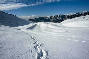 2023 01 128 CampoFontana snowy landscapes 7 photo