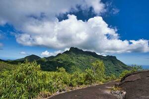 copolia sendero ver de seychelles más alto montaña, alborada seychelles, alborada blanc y troisé Frere montaña foto