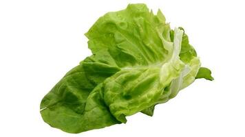 Green lettuce leaf isolated on white. Fresh and juicy lettuce photo. photo